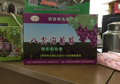 大通區(qū)八岔溝葡(pu)萄種植合(hé)作社