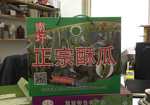 南圩酥(su)瓜種植合(hé)作社
